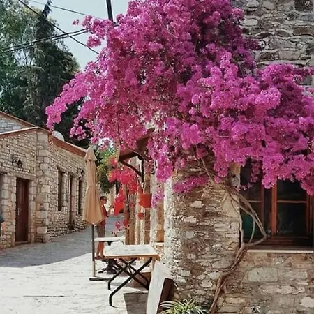 فيلة Mila